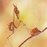 Highlight Asferico Photo Contest