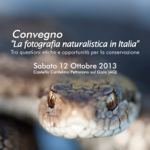 Etica: avanti tutta!