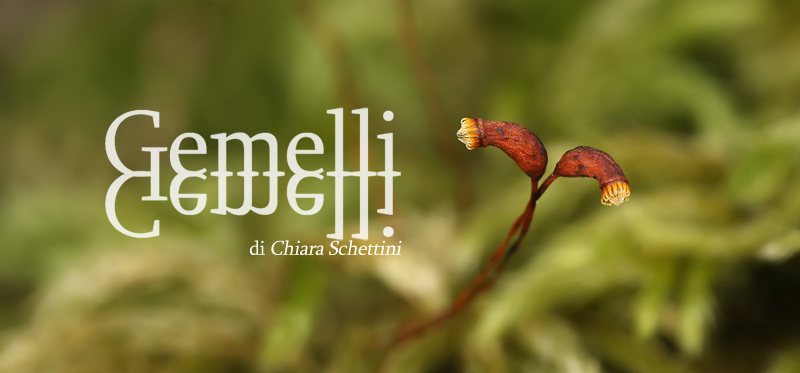 Gemelli-copertina