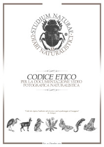 Codice Etico