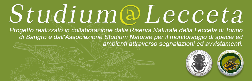 Progetto Lecceta