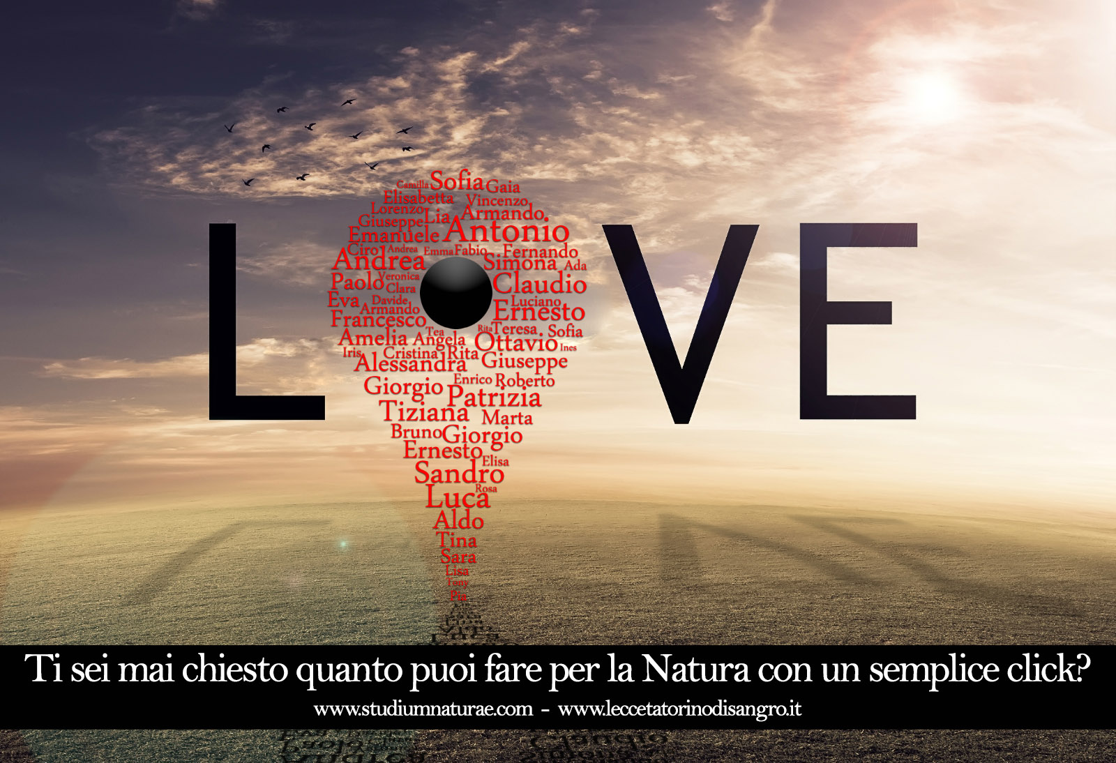 Love Tree