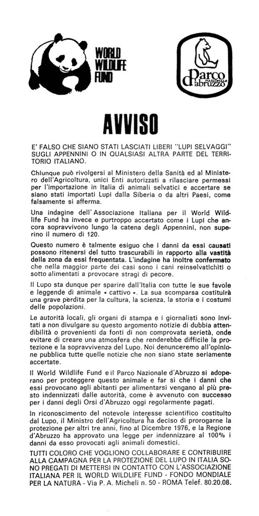 Senza titolo-2